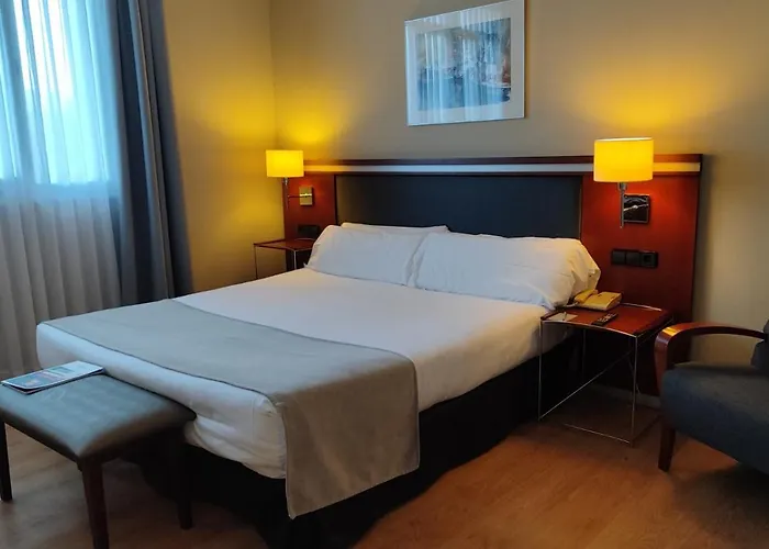 酒店 Abba Euskalduna 4*