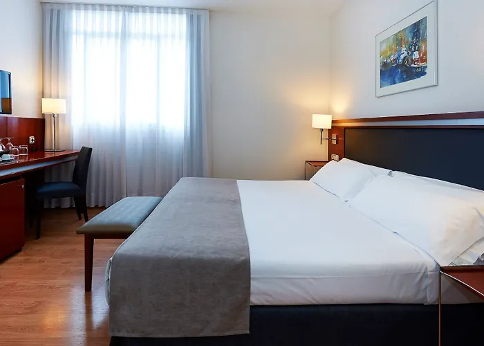 酒店 Abba Euskalduna 4*